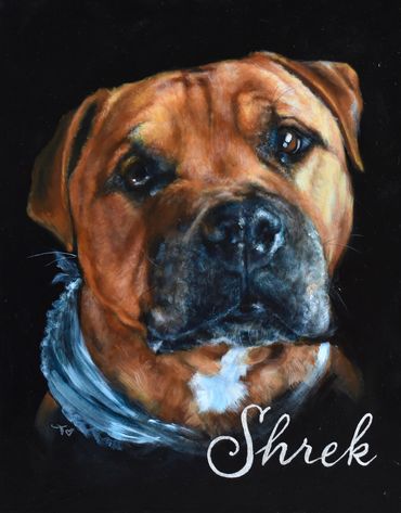Shrek: red Boerboel