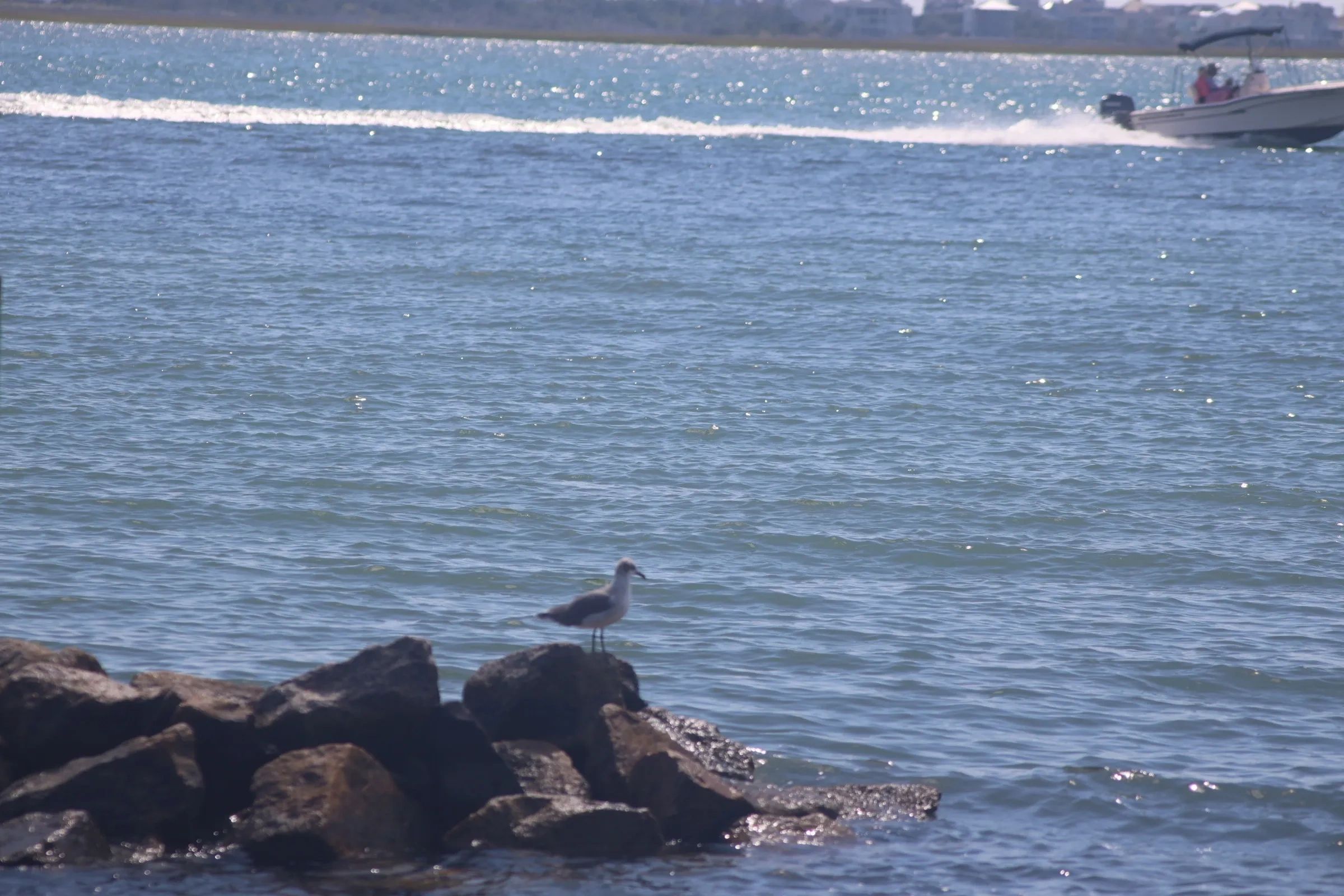 Sit beside a river, the bay, or the ocean.  Morehead City is central to several bodies of water, so 