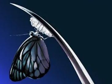 DISCOVER HOW TO APPLY AGILE, LEAN SIX SIGMA, AND TOC PRINCIPLES TO YOUR DIGITAL TRANSFORMATION. 
