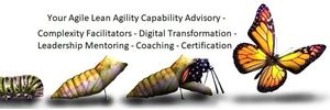 Complexity Systems Evolution at Richter Consulting Group Your Agile Lean Agility Business Consulting