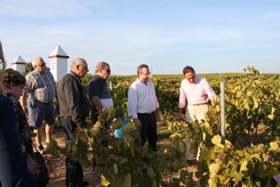 Restoration Journeys tour to vineyard in Spain