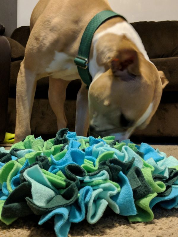 Snuffle Mat - A Dog Trainer's Review