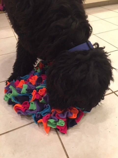 Snuffle Mat - A Dog Trainer's Review