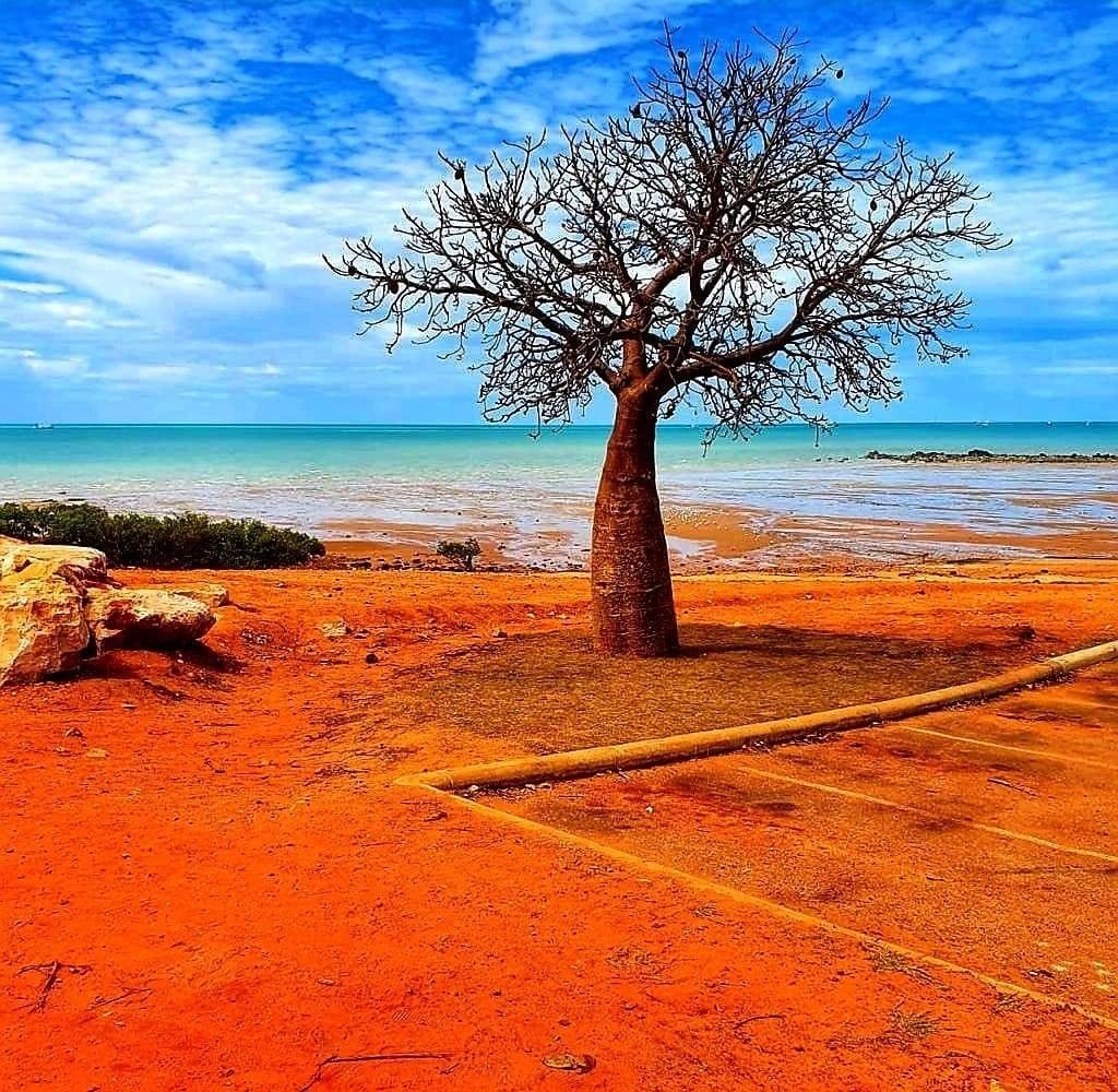 Beyond Broome Hospitality Pty Limited