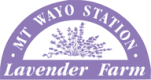 Mt Wayo Station Lavender Farm