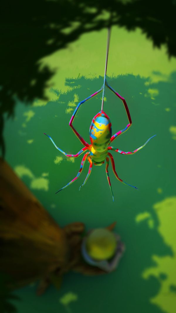 Spider
