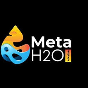 Meta H2O Advaitna logo with water and fire elements.