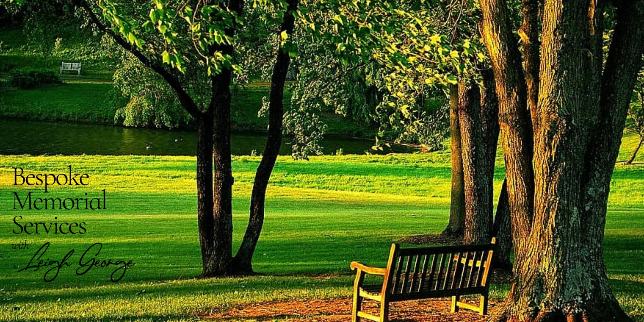 Park with bench overlooking a lake