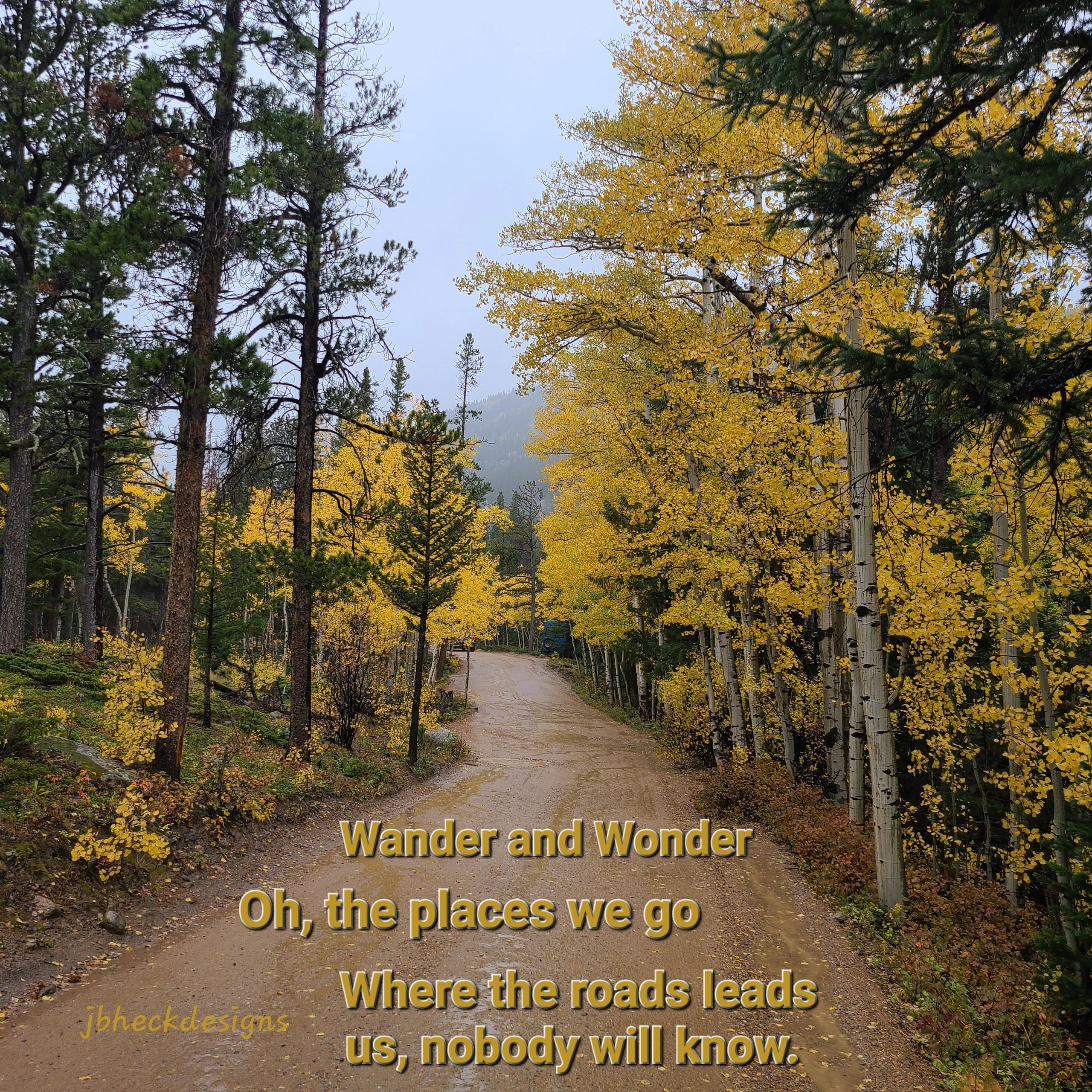 A forest of fall aspens with their yellow leaves flanking a wet dirt road with inspirational text.