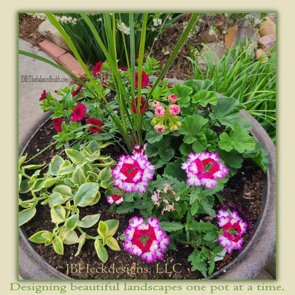 Planter with shades of pink and red flowers, a green spike and a trailing variegated succulent. 