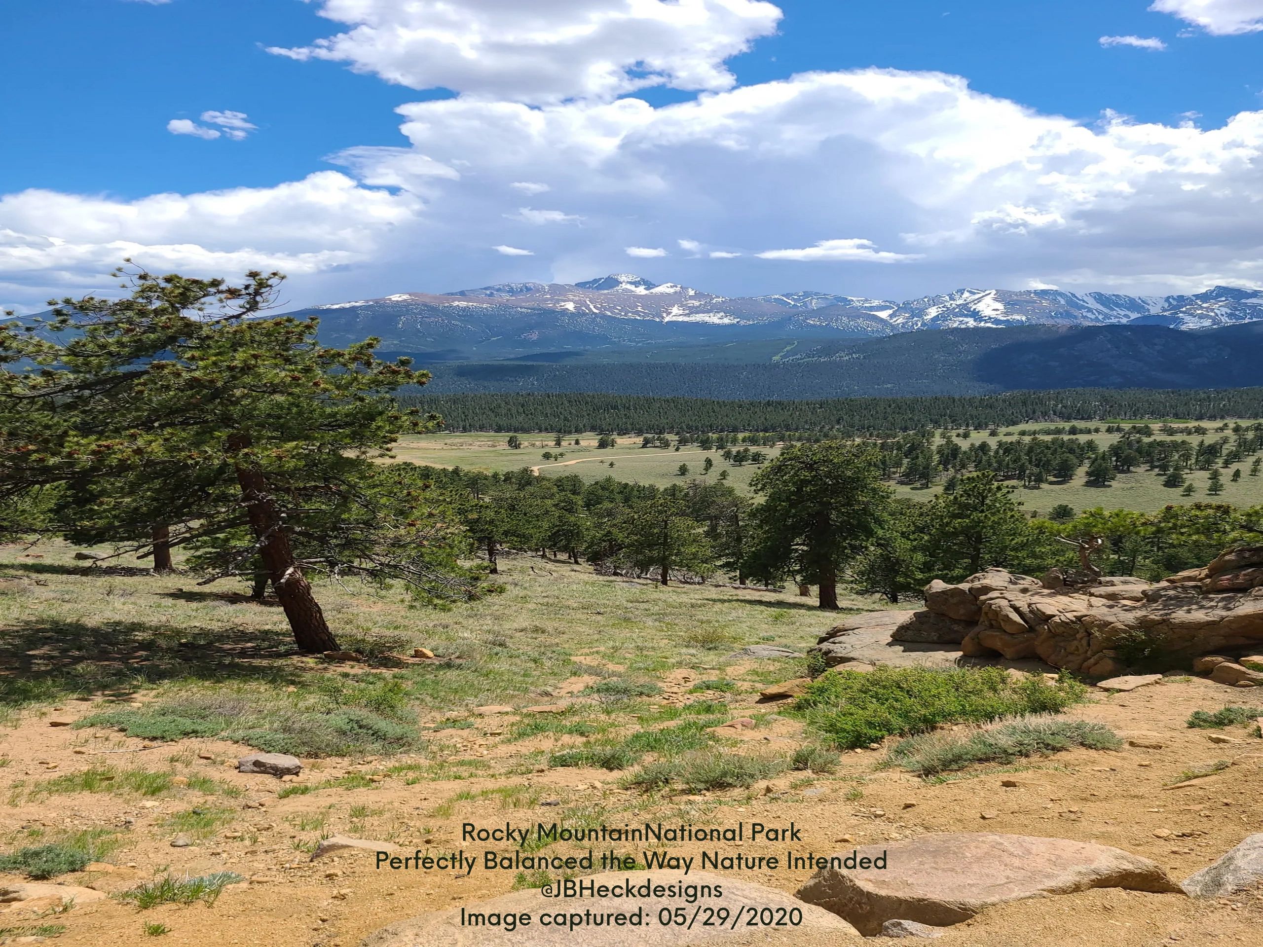 Landscape of the Rocky Mountains with pine trees and rocks in the foreground. 