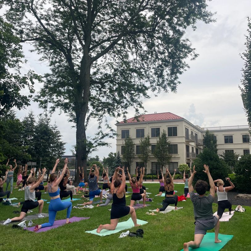 Group yoga session outdoors on green lawn under large tree near building.