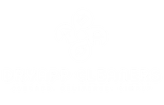 DRYAPP CLEANERS