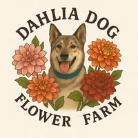 Dahlia Dogs Flower Farm