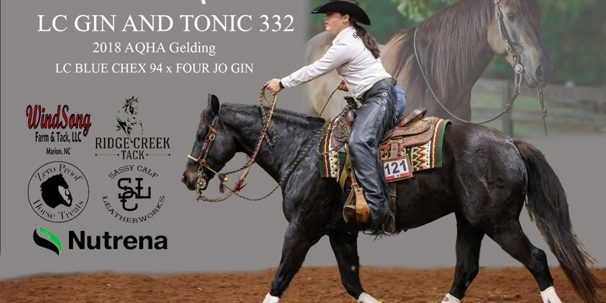 LambFarm Intro to Ranch Riding Clinic Saturday, February 21 from 9am to 4 pm.