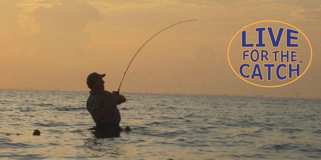 Fish for what you live for!  Live for the Catch