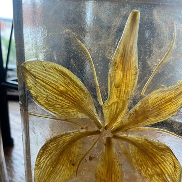 Black Peppercorn Garden Creations 