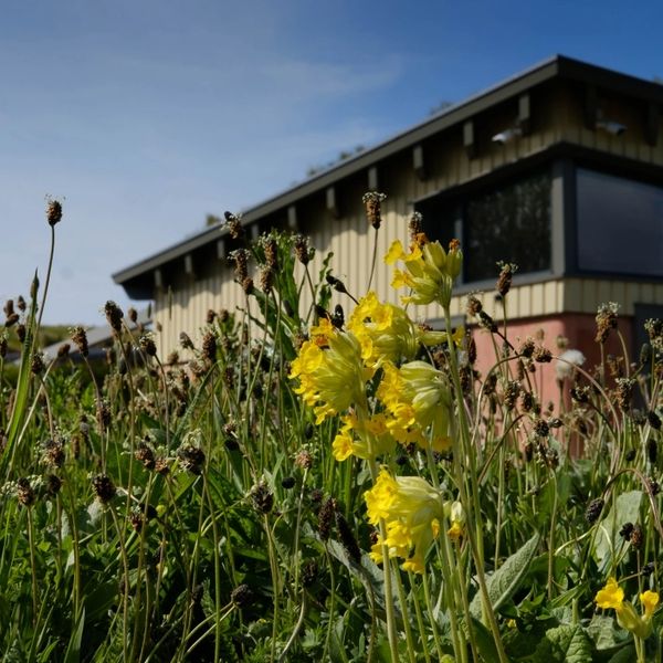 Picture of Hauxley Wildlife Discovery Centre