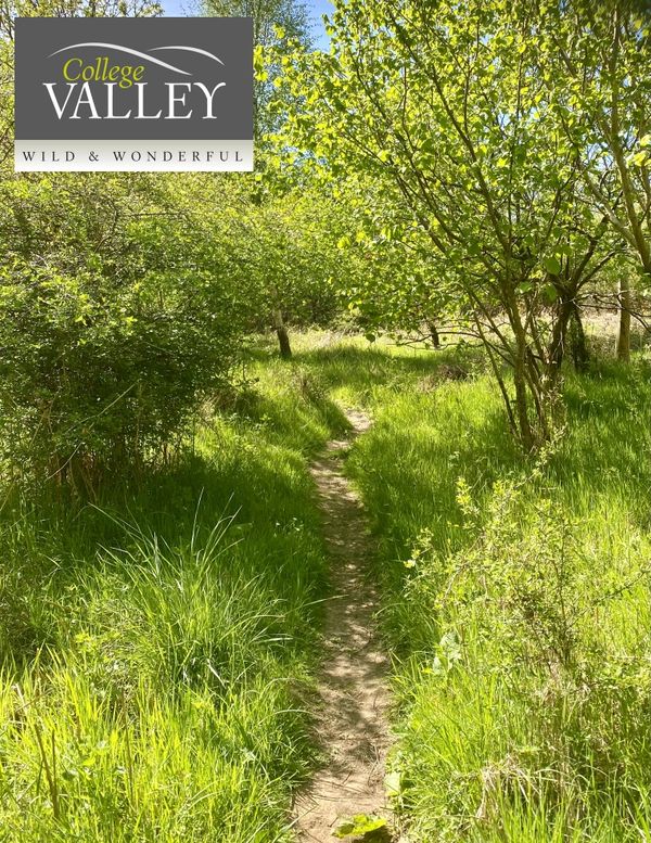 Picture of a country path with College Valley logo