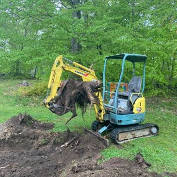 Mini excavator lifting a large tree root in a green outdoor area.