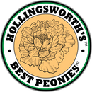 BEST PEONIES BY
HOLLINGSWORTH PEONIES