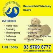 Beaconsfield Vet