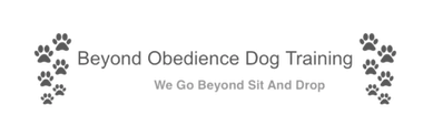 Beyond Obedience 