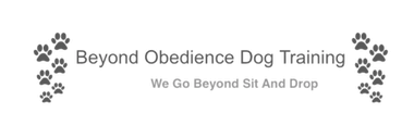 Beyond Obedience Dog Training Boarding School for Dogs
