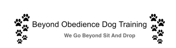 Beyond Obedience 