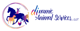 Dinamic Animal Services