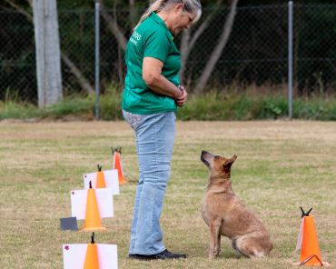 Woman training a dog outdoors.