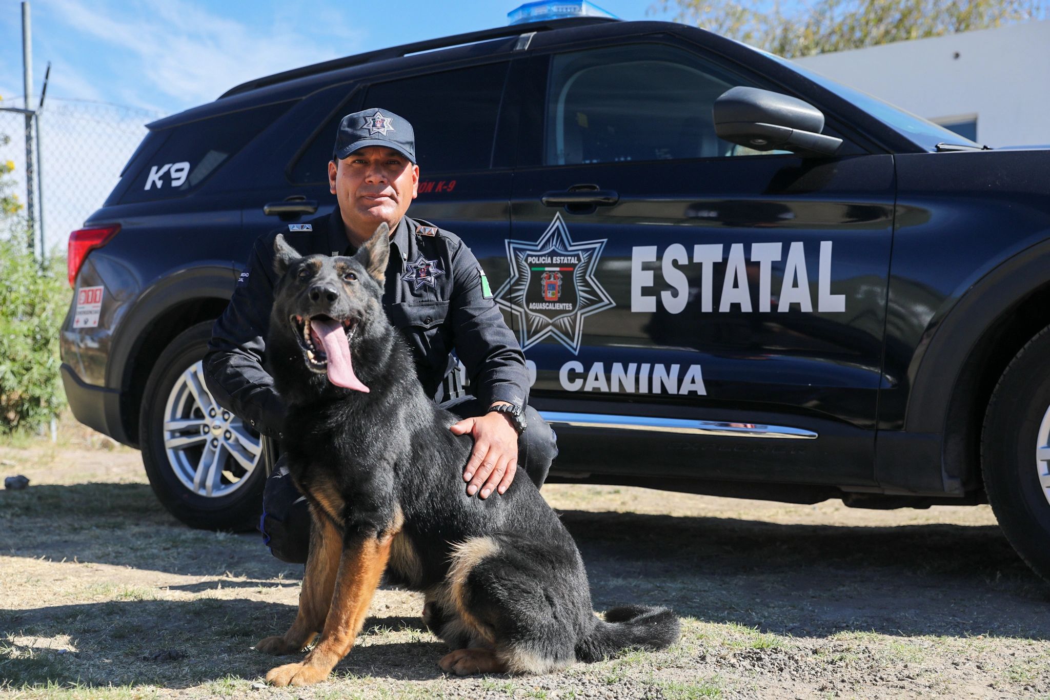 Szooke, un héroe del Grupo K9, image size:2048x1366