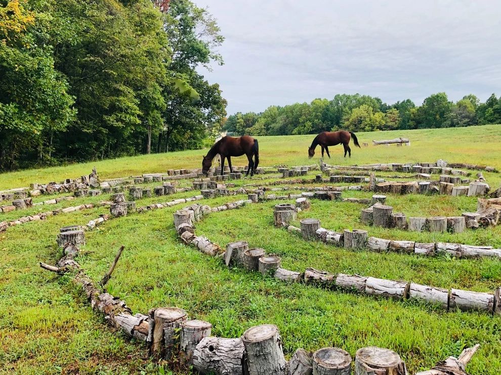 Horses grazing around the wood labyrinth.