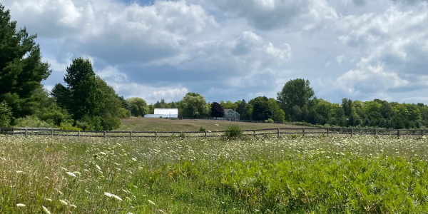farm pastures