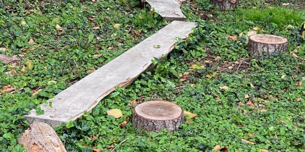 A makeshift wooden plank path over green foliage with tree stumps nearby.