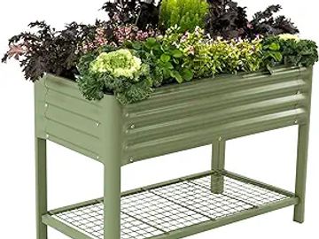 Elevated green metal planter box with various leafy plants.