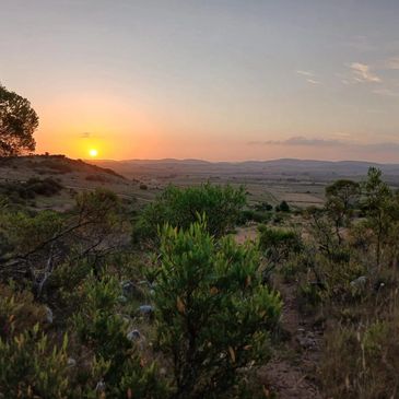 nachhaltige Häuser in Uruguay aus Holz mit Panoramablick