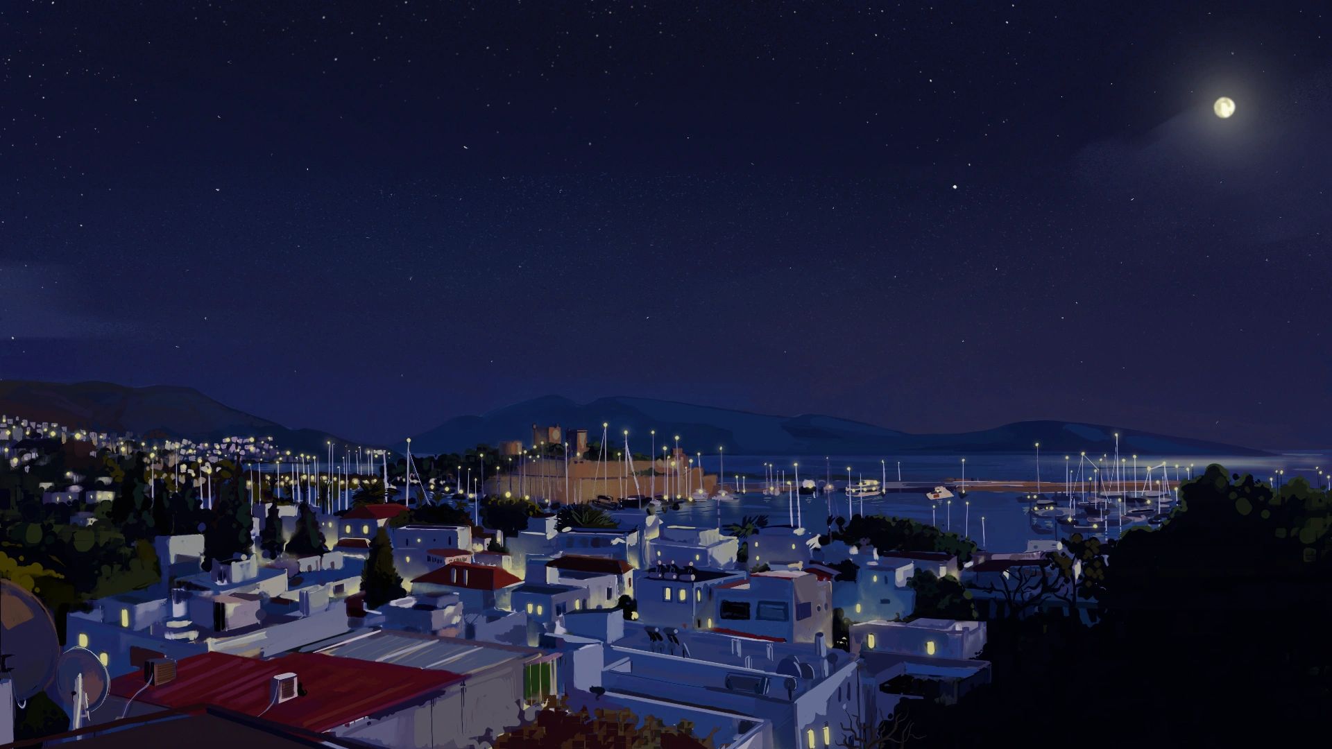 Night view of a coastal town with starry sky and moonlight.