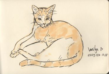 Sketch of a cat lying down.