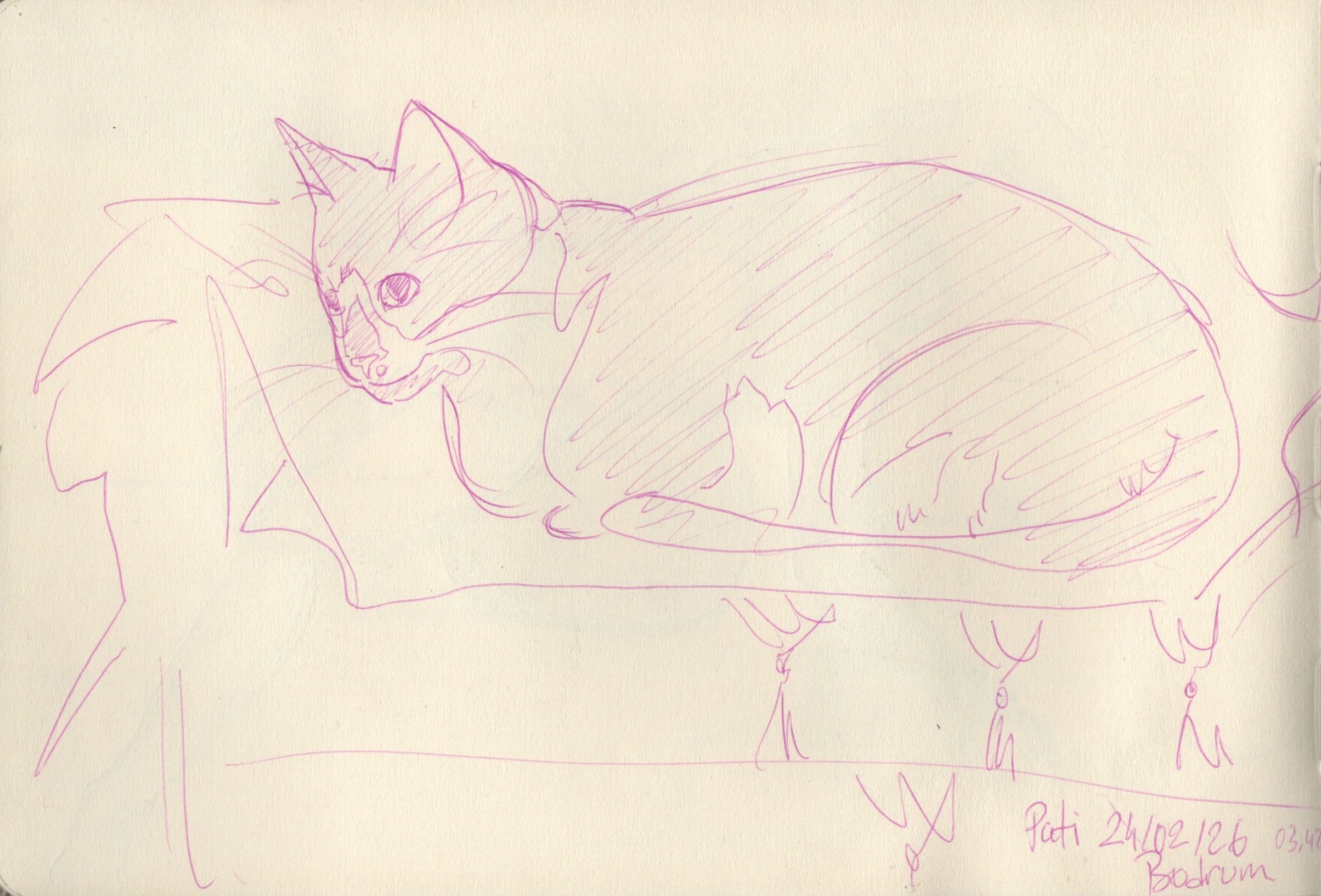 Sketch of a cat resting.