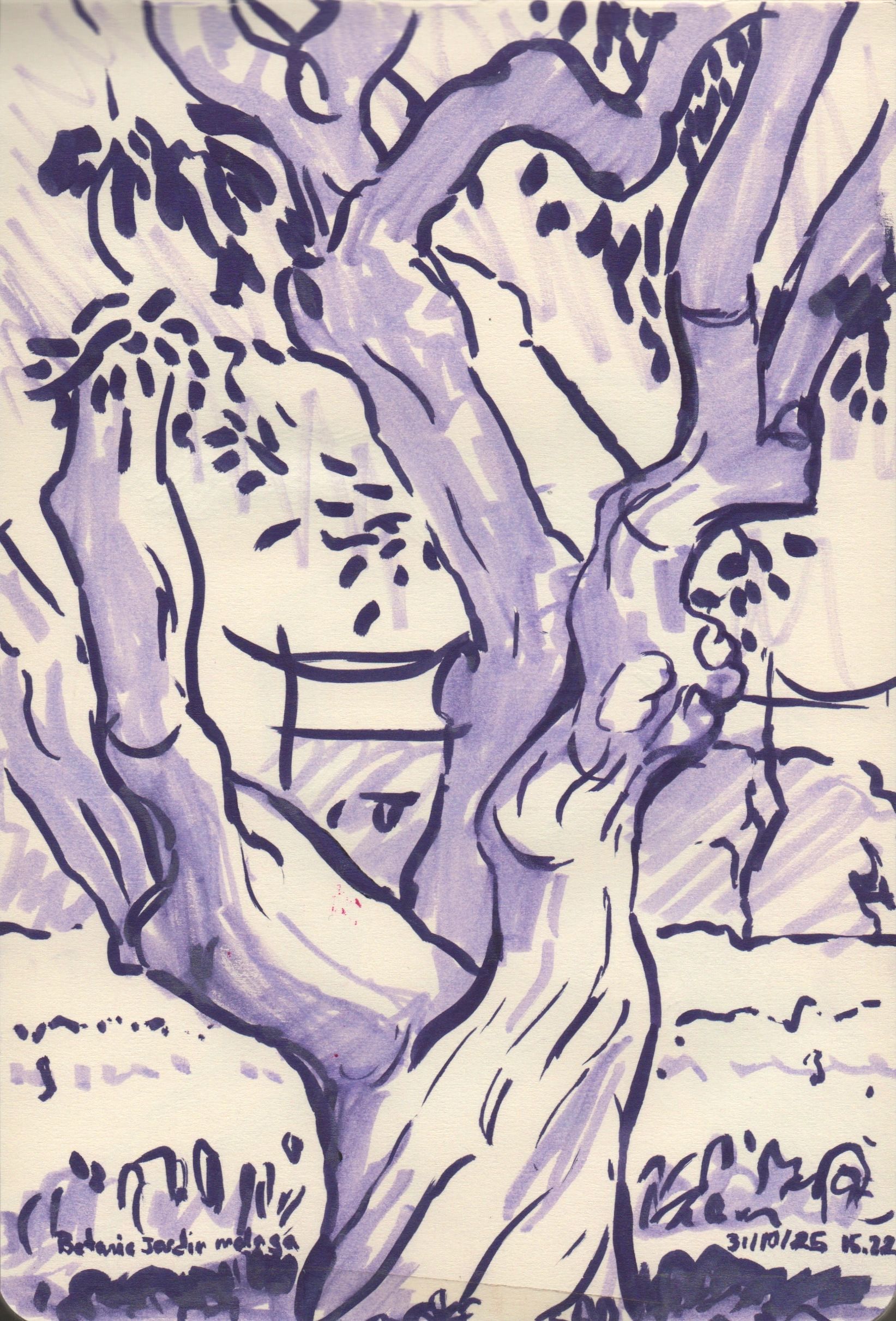 Abstract tree branches in purple ink drawing.