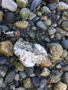 image38