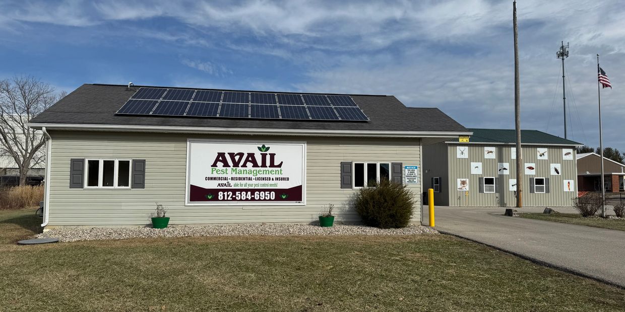 Avail Pest Management