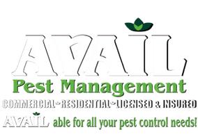 Avail Pest Management