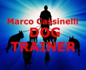 www.marcocassinellidogtrainer.com