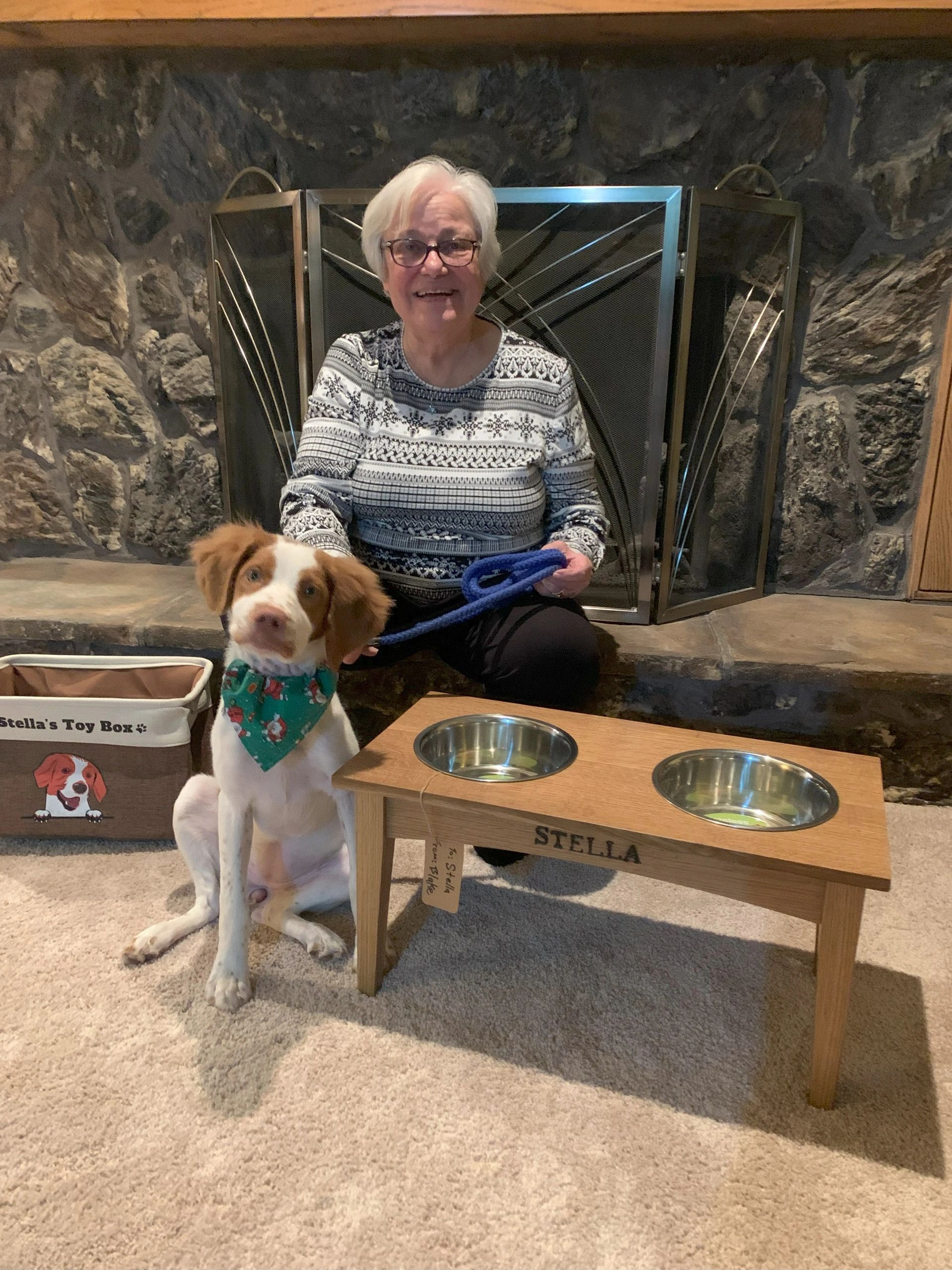 Dog bowl stand