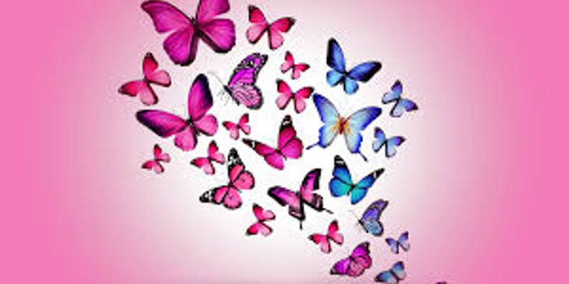 Respite Care Services