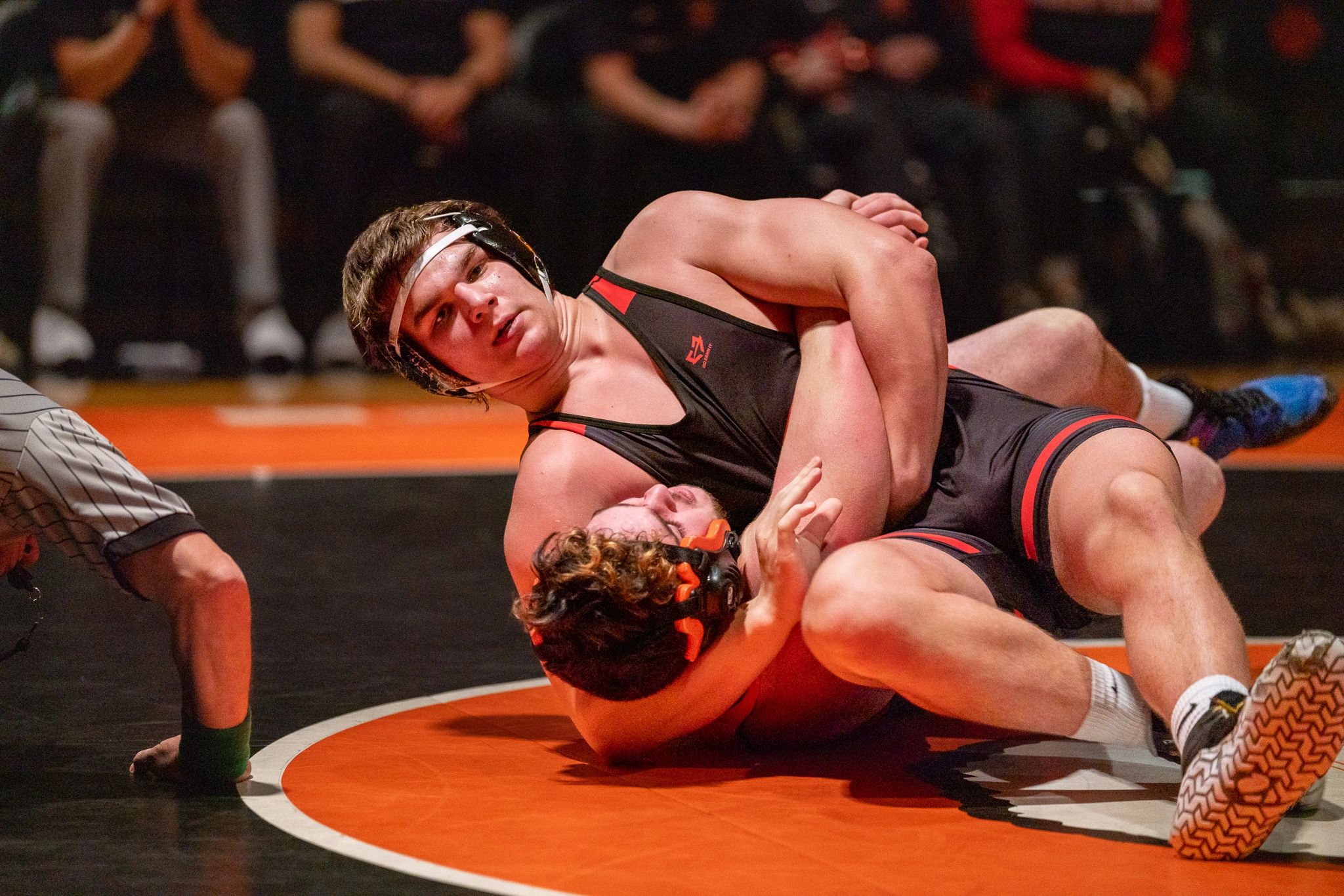 Bulldogs Tame the Tigers