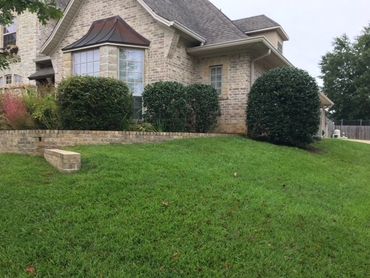 Lawn and shrub maintenance services in Tyler Texas