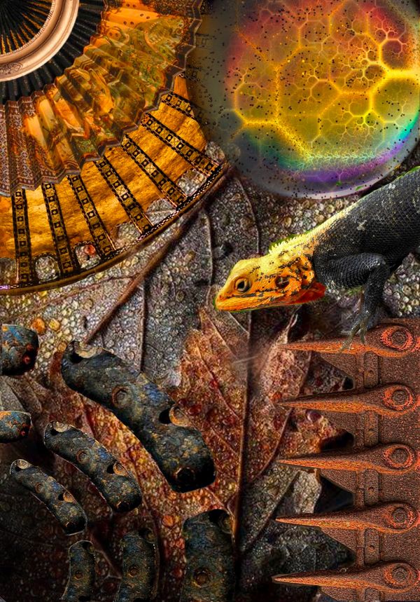  Gold LizardPhotomontage, stories, color, texture, limited number of prints, vibrant, light, archiva